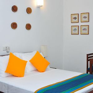 Chambre Standarde